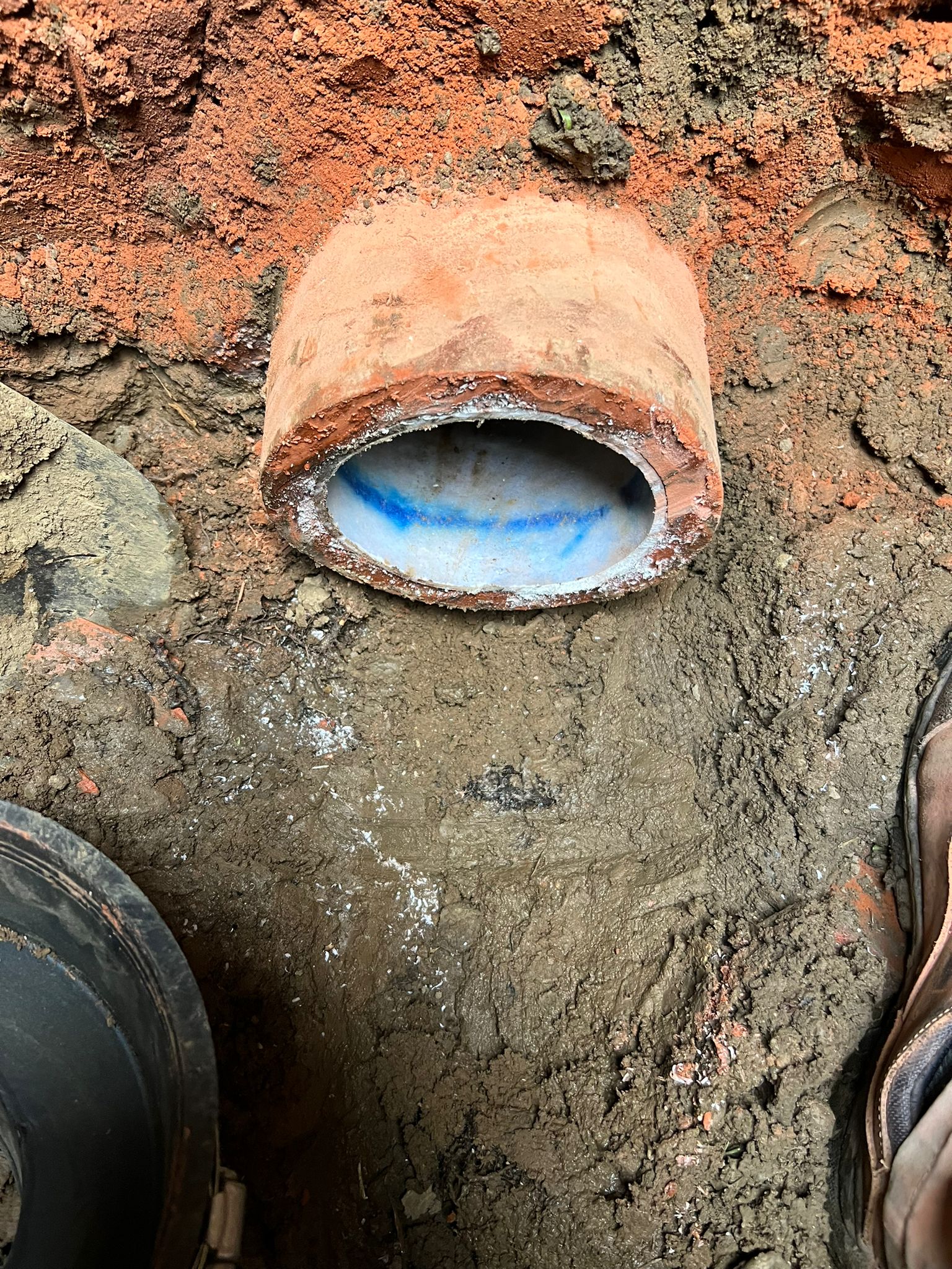 WhatsApp Image 2024-07-18 at 10.01.54