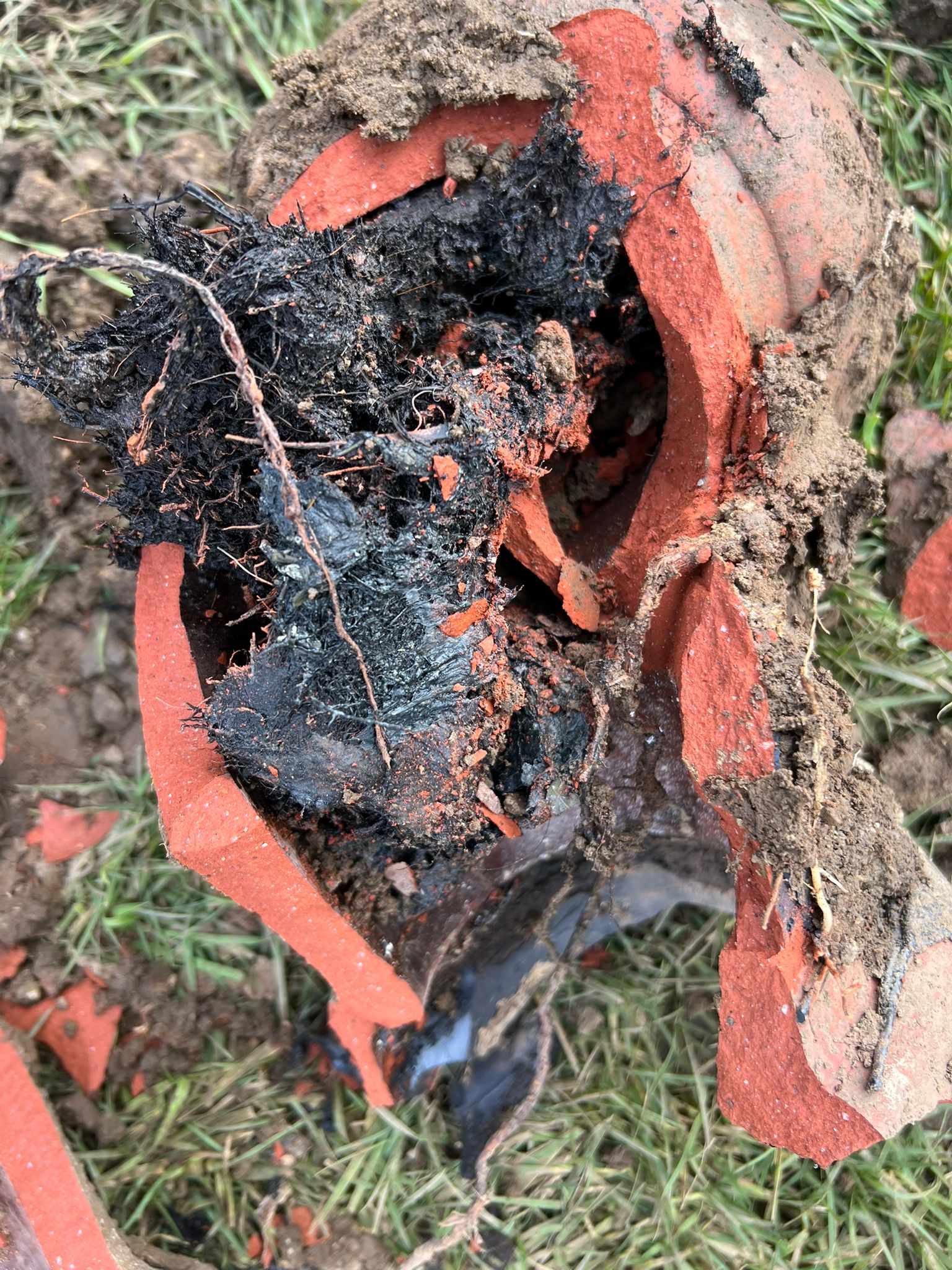 WhatsApp Image 2024-07-18 at 10.01.54(2) WhatsApp Image 2024-07-18 at 10.01.54(2)