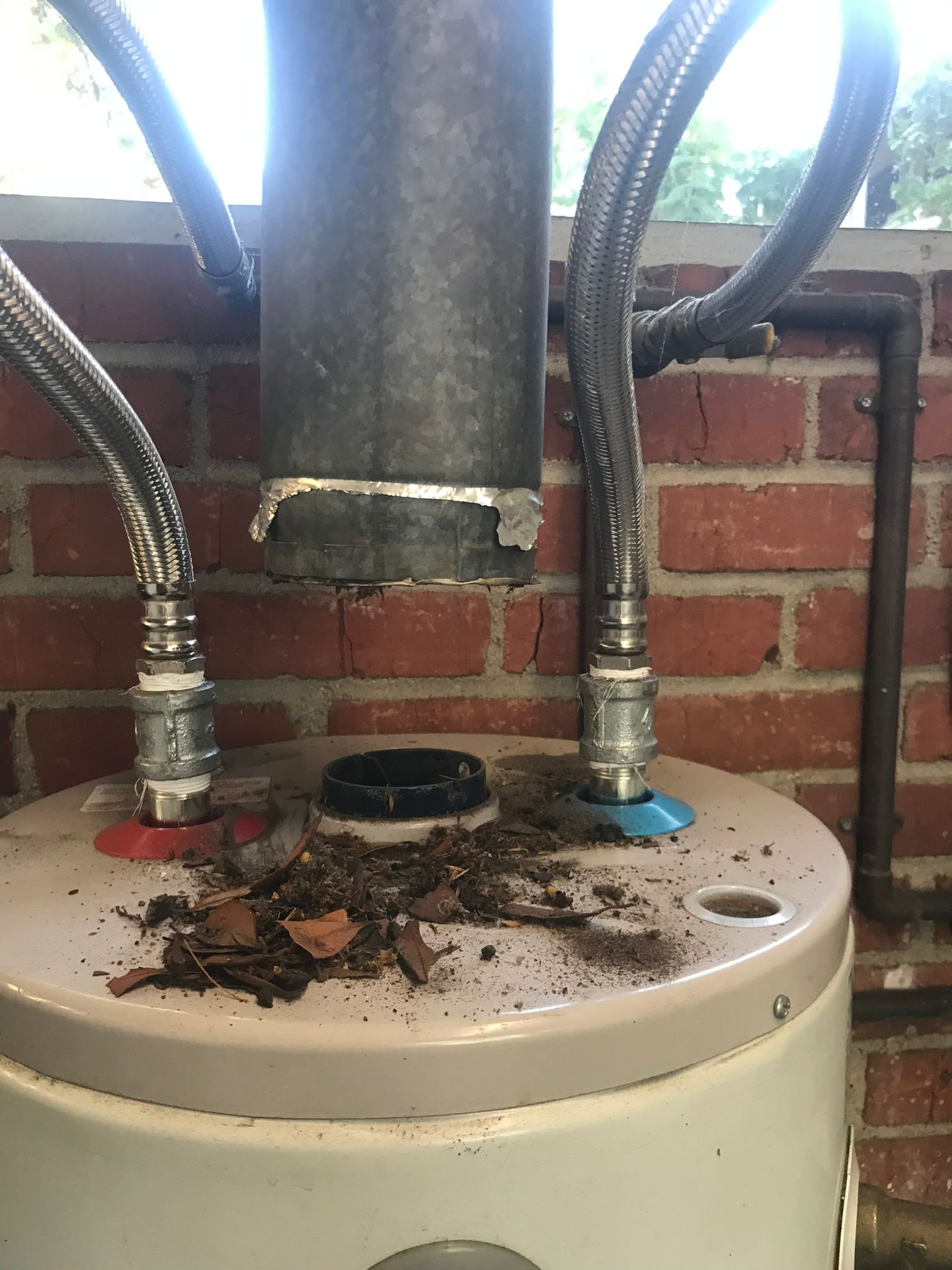 WhatsApp Image 2024-07-19 at 23.33.21(1) WhatsApp Image 2024-07-19 at 23.33.21(1)