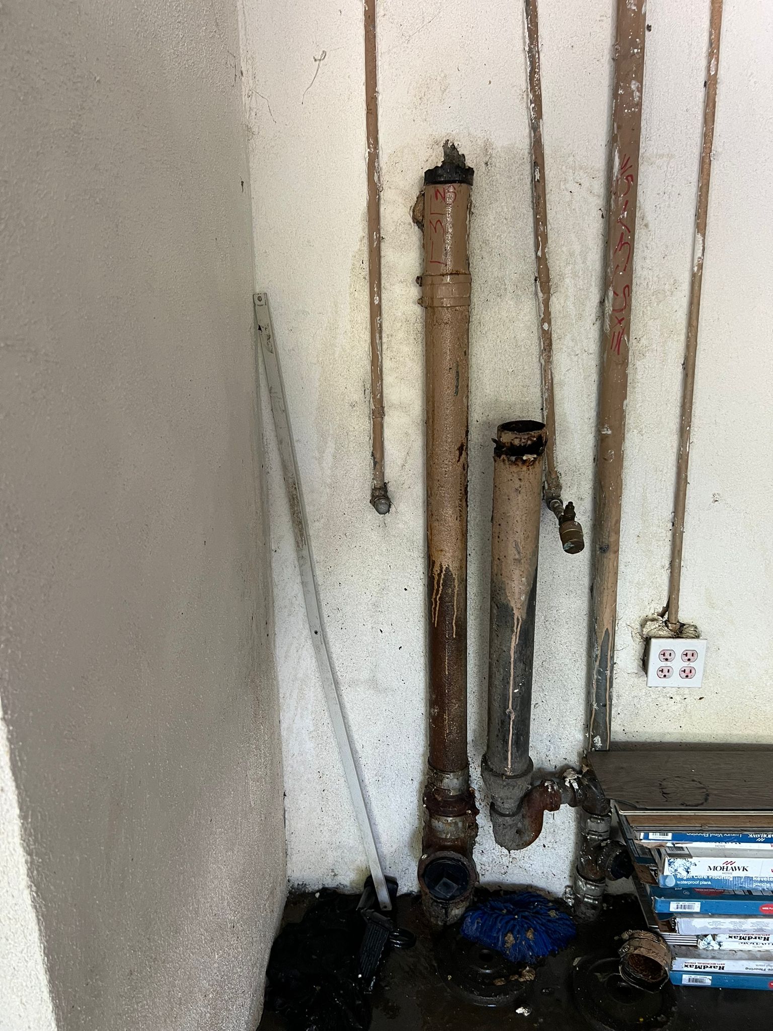 WhatsApp Image 2024-07-20 at 21.51.49(2) WhatsApp Image 2024-07-20 at 21.51.49(2)